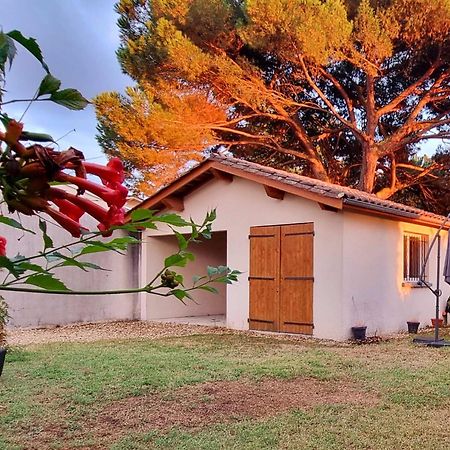 Appartement Quinault Libourne Εξωτερικό φωτογραφία