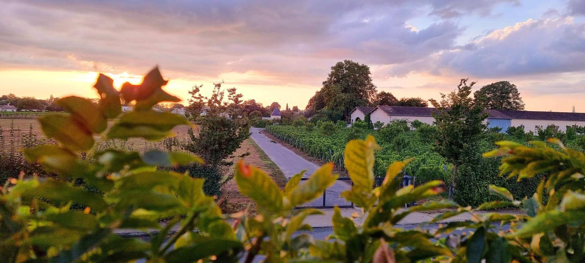 Appartement Quinault Libourne Εξωτερικό φωτογραφία